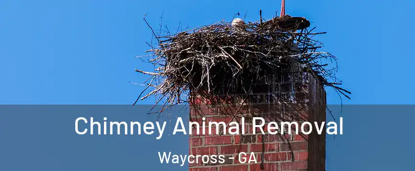  Chimney Animal Removal Waycross - GA
