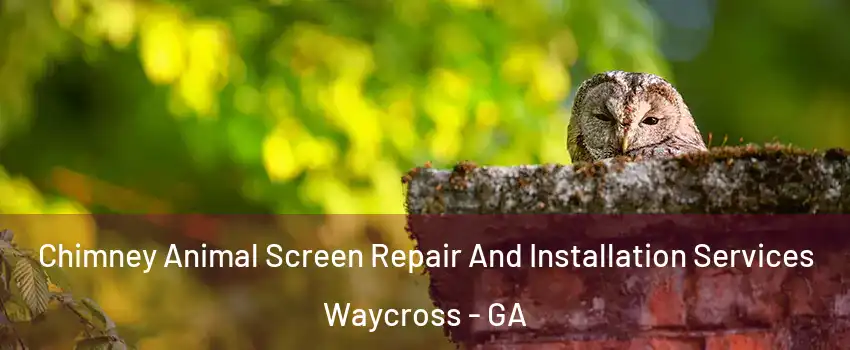  Chimney Animal Screen Repair And Installation Services Waycross - GA
