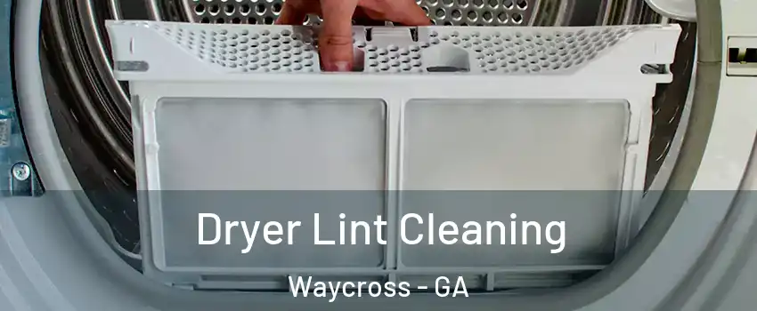  Dryer Lint Cleaning Waycross - GA
