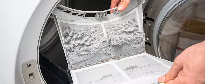 Best Dryer Lint Removal Company in Waycross, Georgia